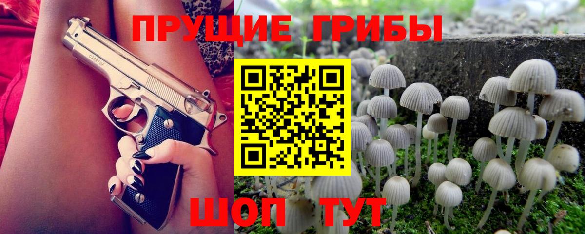 Лесосибирск  Псилоцибиновые грибы мицелий  цена наркотик  Вход с VPN 